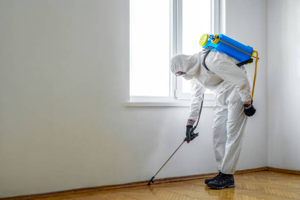 Best Residential Pest Control  in Manville, NJ